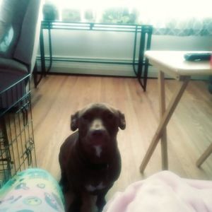 Meet your Posher, Avionna